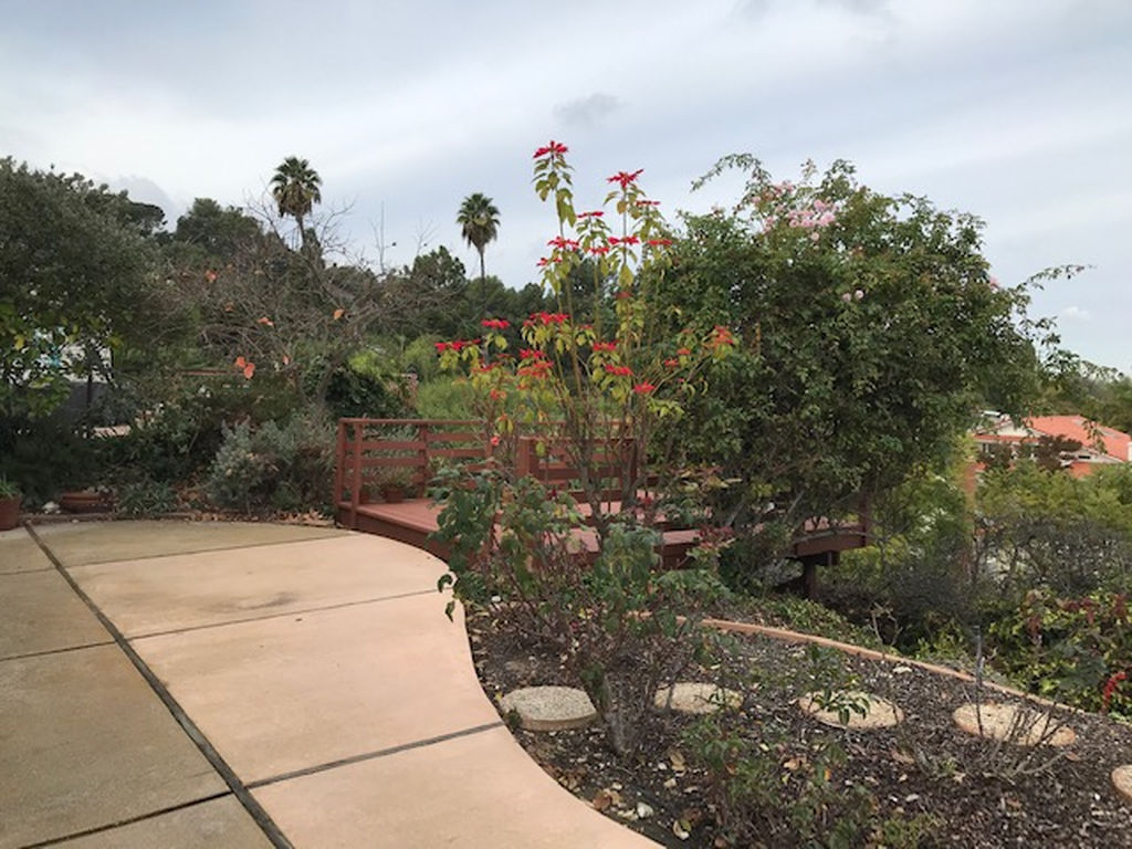 property image15