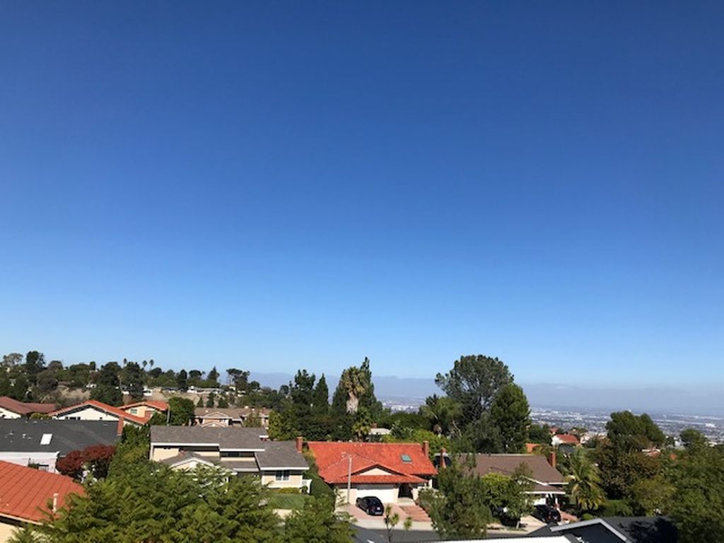 view_result