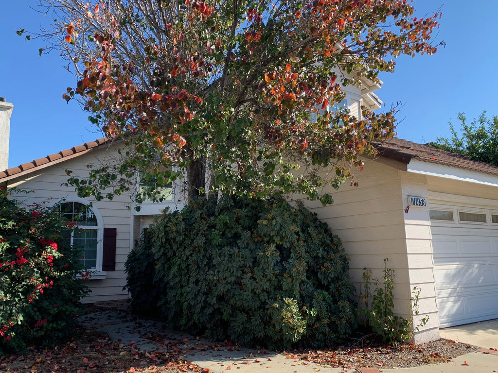 property image14