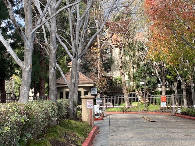 property image18
